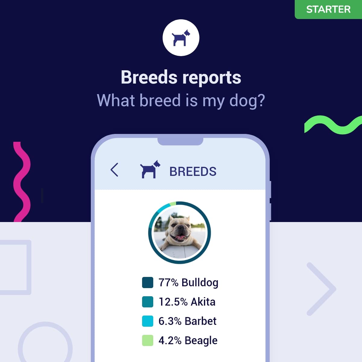 Koko Genetics Starter DNA Test for Dogs, Analyzes & Identifies 400+ Breeds and Offers 25+ Genetic Traits and Ancestry Reports, L
