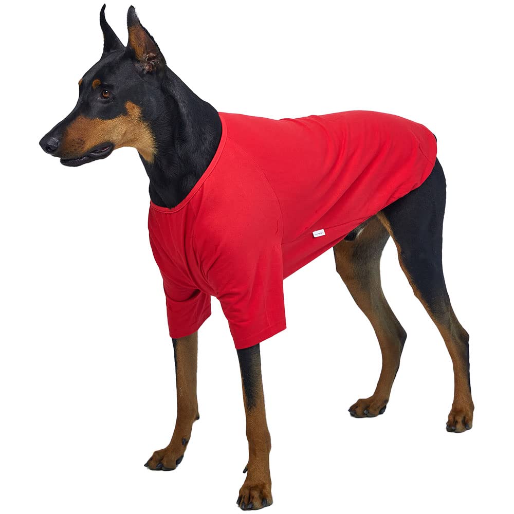 Lucky Petter Dog Shirt For Small Dogs Plain T-Shirts Soft Breathable Dog Cotton Shirt Pet Clothes (2X-Large, Red)