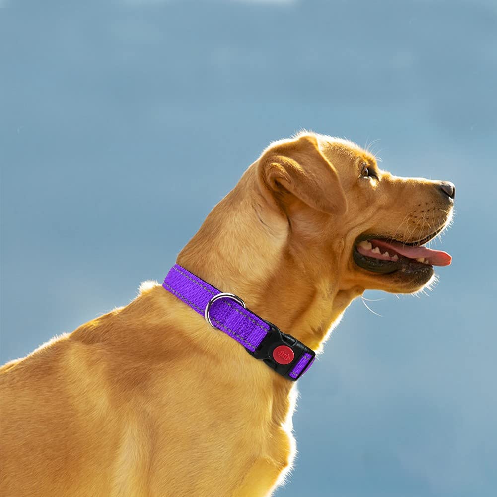 Taglory Reflective Dog Collar With Safety Locking Buckle, Adjustable Nylon Pet Collars For Extra Large Dogs Female Male, Purple,