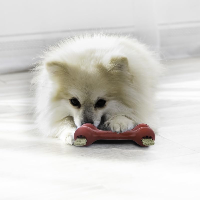 KONG Goodie Bone Small 2 Pack - Classic Durable Natural Rubber Dog Bone- Treat Dispensing - Red - for Small Dogs (2 Pack)