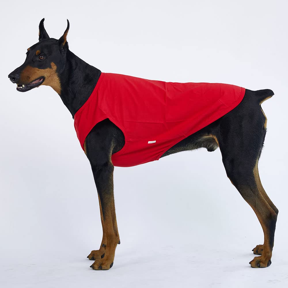 Lucky Petter Dog Sleeveless Tank Top Cotton Shirt (2X-Large, Red)