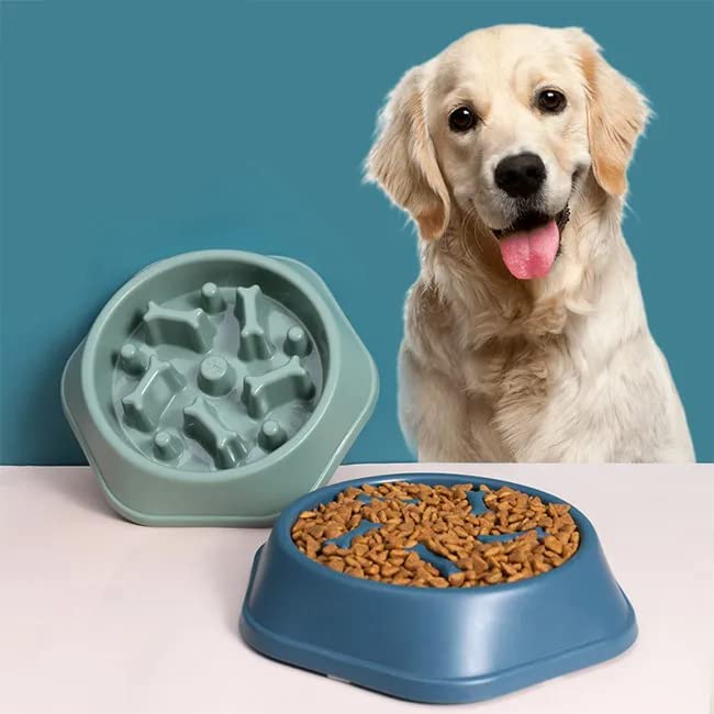 Rvpaws Dog Feeder Slow Eating Pet Bowl NonToxic Preventing Choking Healthy Design Bowl For Small Cat Dog Pet (Multi Color)  Pa