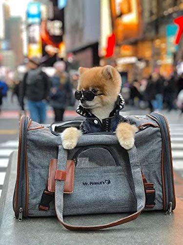 Mr. Peanut's Airline Approved Soft Sided Pet Carrier, Low Profile Gold Series Tote, Premium Brand Self Locking Zippers, Under Se