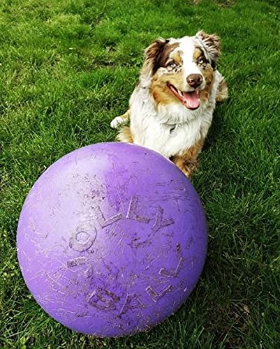 Jolly Pets Push-N-Play Ball Dog Toy, 14 Inches/Extra-Large, Purple,All Breed Sizes