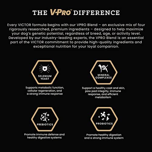 VICTOR Super Premium Dog Food - Lamb Meal & Brown Rice Formula - Gluten-Free Dry Dog Food for All Normally Active Dogs of All Li