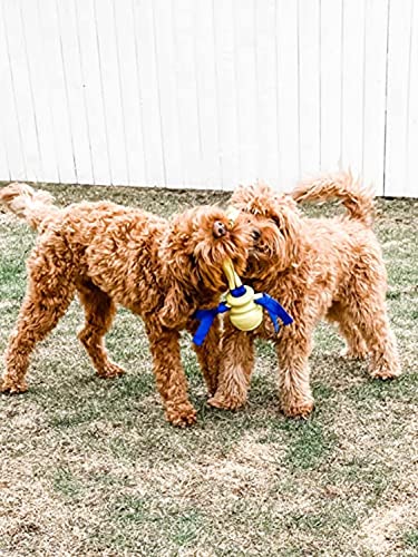 Nylabone Power Play Dog Fetch Toys Fling-A-Bounce Medium (1 Count)