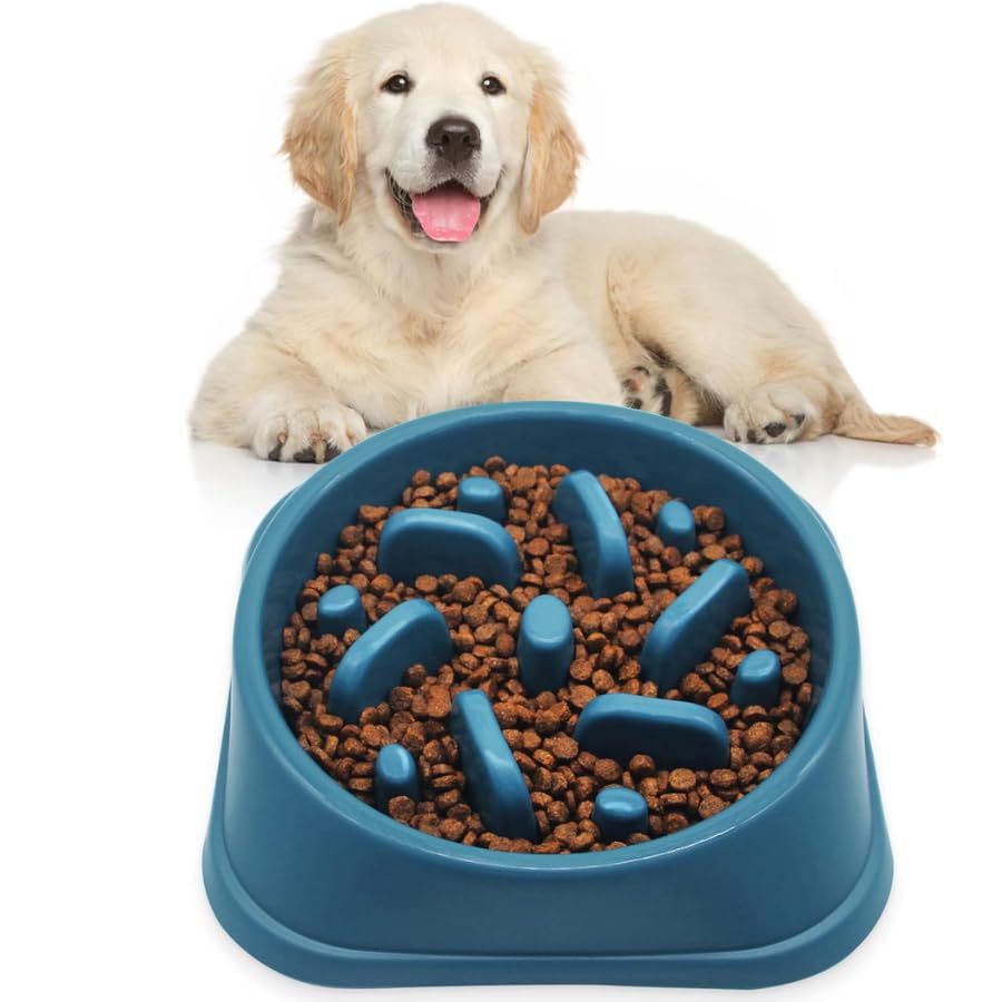 Dog Trust Slow Feeder Dog Bowls Slow Feeding Dog Bowl Small Medium Breed Dog Food Bowls Slow Feed Dog Bowl Slow Eating Dog Slow 