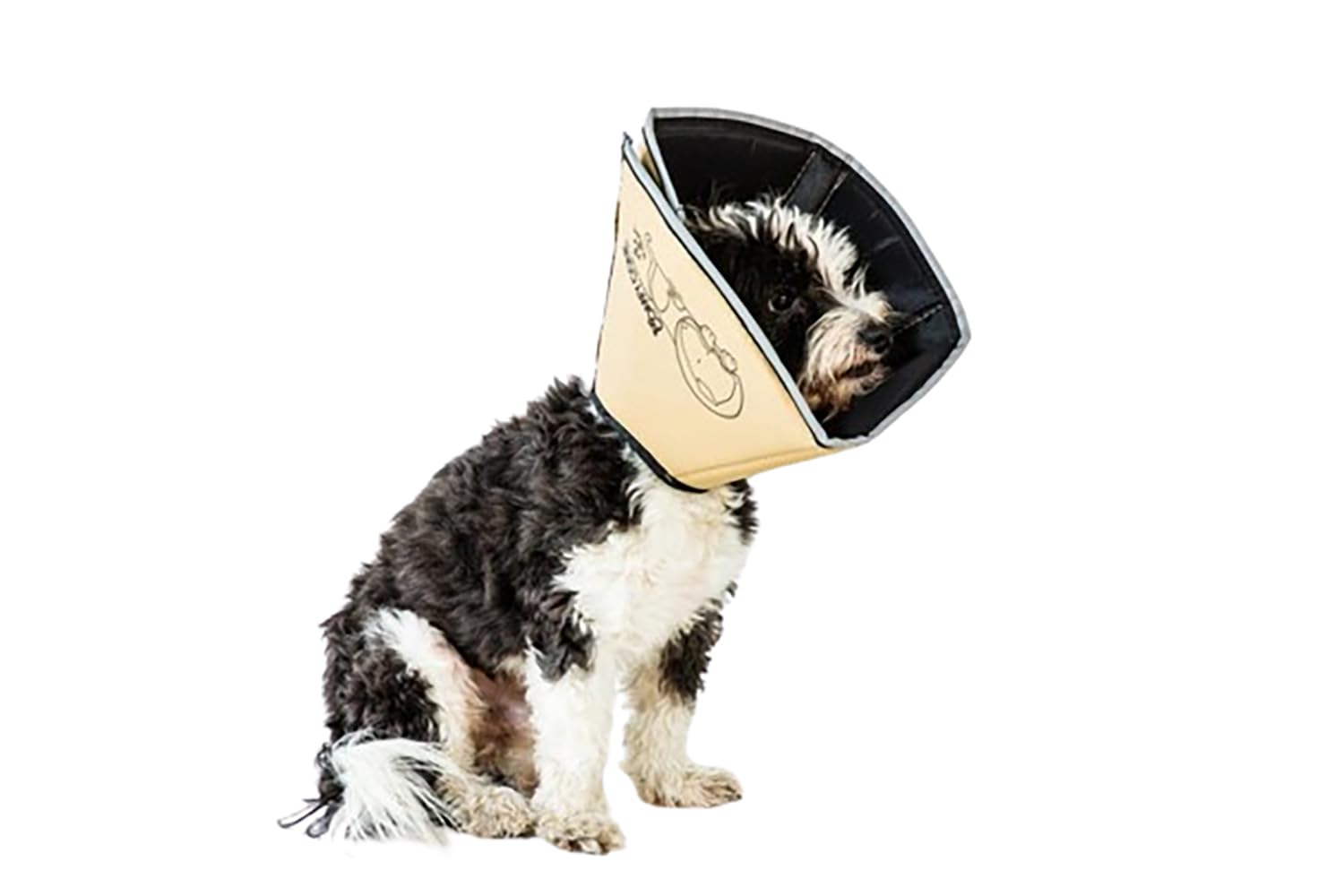 All Four Paws Comfy Cone Pet Cone for Dogs, Cats, XLarge, Tan  Comfortable Soft Dog Cone Collar Alternative for After Surgery,