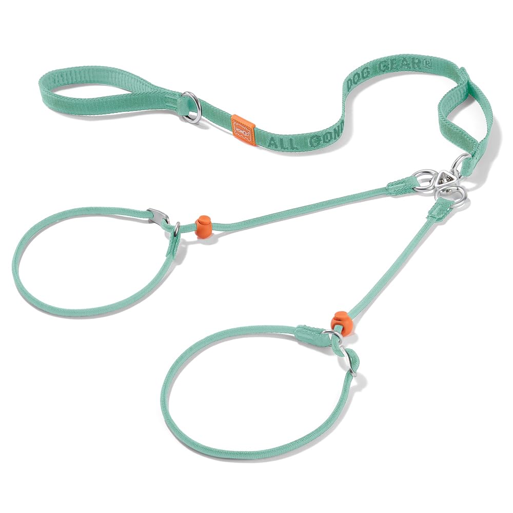 Howgo Double Slip Leash Slip Lead With Two Handles| Dual Dog Slip Lead For 2 Dogs,360 Swivel No Tangle | Dog Training Collar | D
