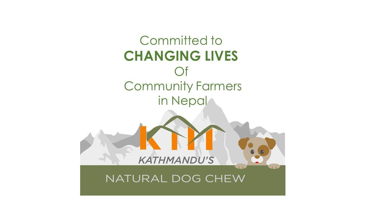 Authentic Himalayan Yak Cheese for Dogs - Small/Medium (Pack of 4) - Sourced from Pristine Himalayan Foothill, Rawhide-Free, NO
