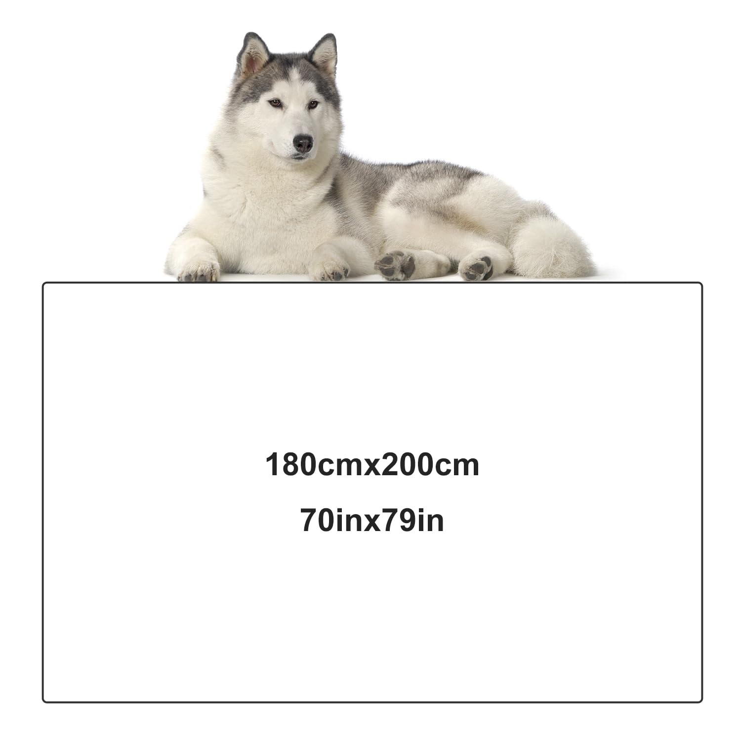 Onarway Dog Blanket Washable For Bed: Dog Blankets 78   X70    - Fluffy Soft Large Throw For Cat Puppy Kitten Dogs - Fleece Pet