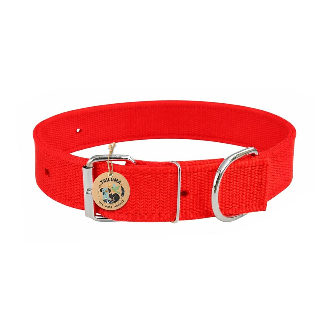 Tailuma Adjustable Nylon Dog Collar For Dogs & Puppies | Durable & Comfortable Neck Belt 1 Inch (Red, Medium)