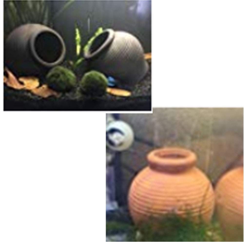 Saim Aquarium Ceramic Jar Decorations Fish Tank Cichlid Cave Breeding Cones Cave For Betta Fish Amano Shrimp Cichlid Bonsai To P