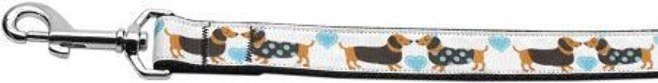 Pet Dog & Cat Nylon Collar or Leash, "Doxie Love" 1" w x 6 ft. leash