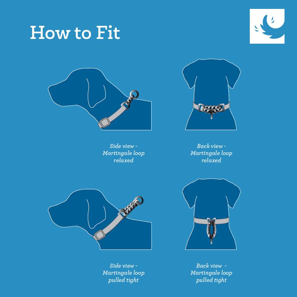 Rc Pets 0.6'' Martingale Training Collar, X-Small, Bones