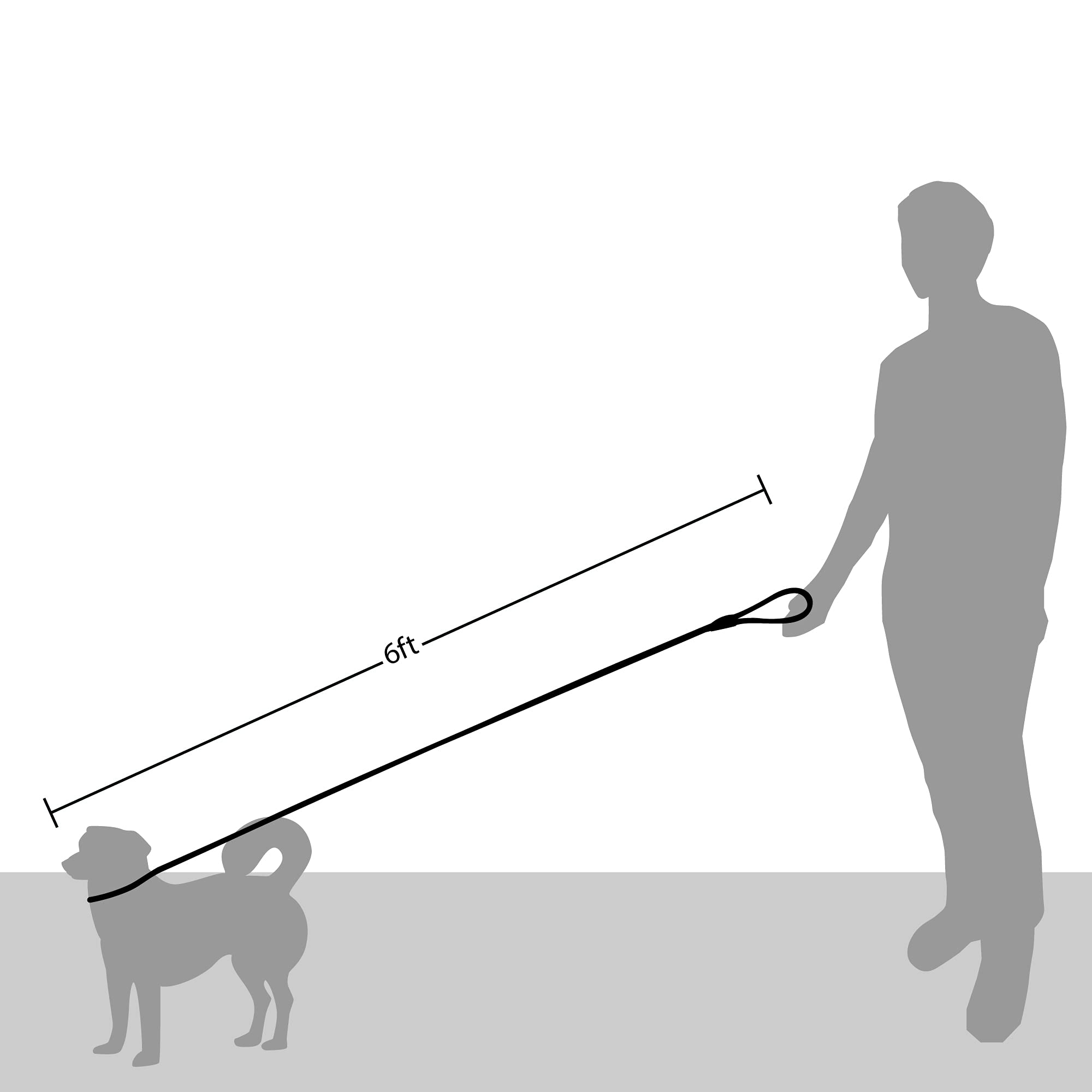 Friends Forever Dog Rope Leash - Durable, Reflective, 6ft, Black, Heavy Duty Training Slip Lead for Large, Medium, Small Pets