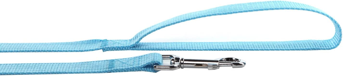 Nylon Dog Leash 8 Feet Long, Walking Training Dog Leashes For Medium Large Dogs(1'' X 8 Ft, Blue)