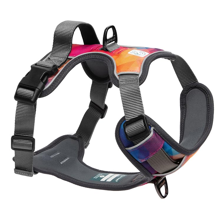 Embark Urban Dog Harness, Reflective Trim No Pull Dog Harness For Large Dogs - Military Grade Nylon, Front Clip Dog Harness With Gel Lined Handle. Soft & Padded Puppy Dog Harnesses For Any Breed