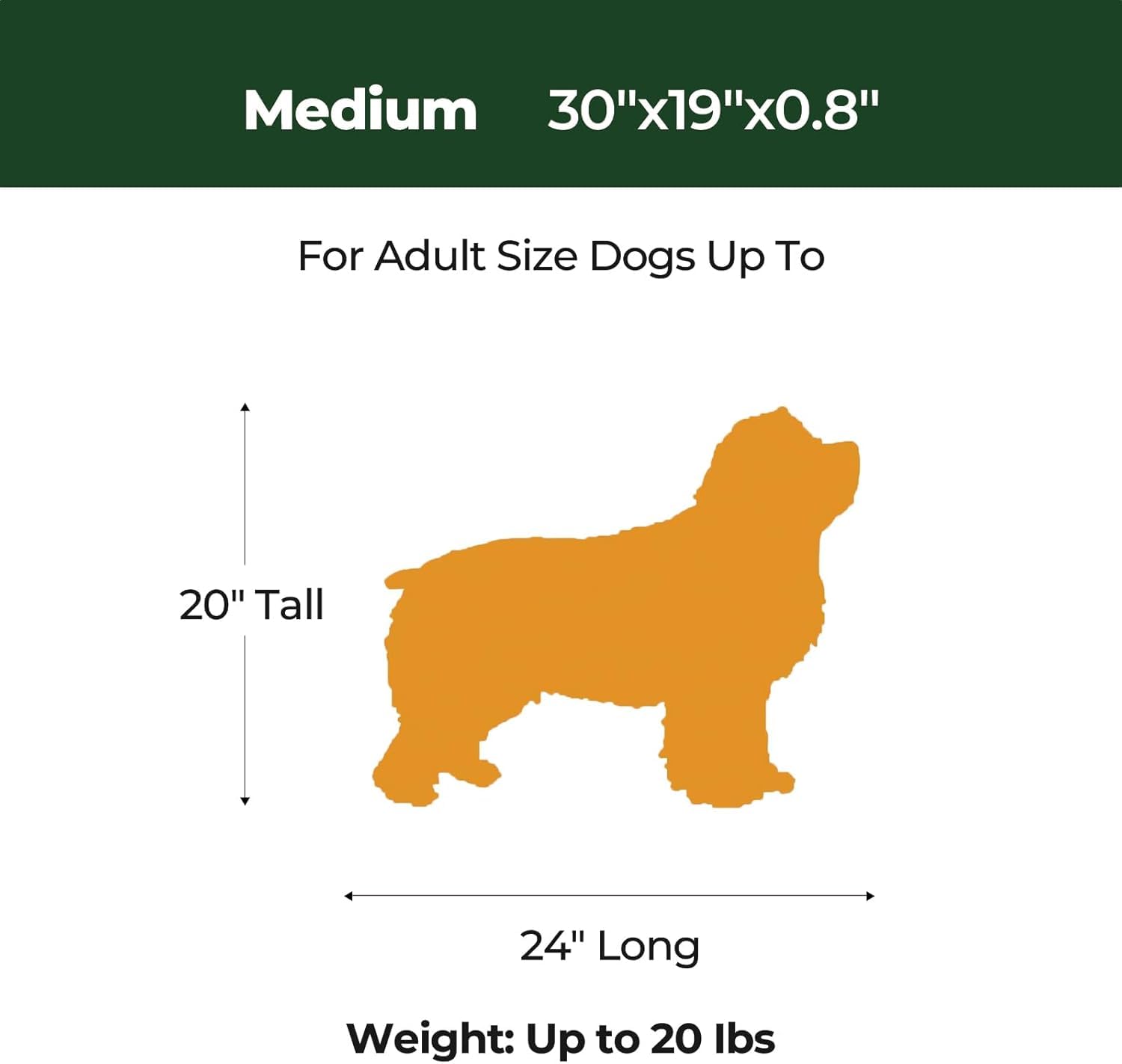 BALANCE Dog Crate Pad, Dog Foam Crate Mat Kennel Pad, Washable Water-Resistant Pet Bed Flat Dogs Cage Mat for Medium Dogs, 2 Pac
