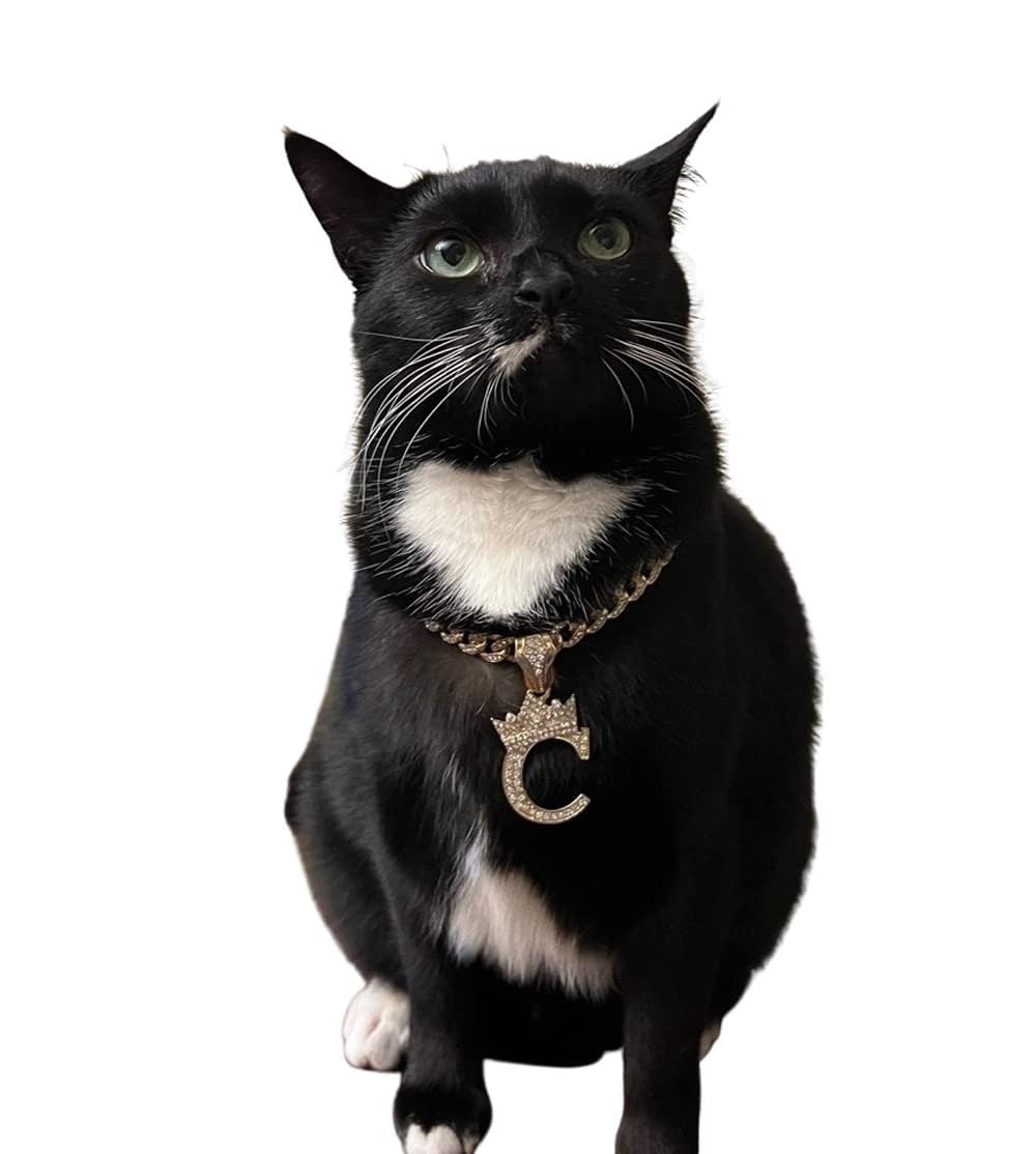Ba Unique Fashion Initial Letter Cuban Chain Dog Chain Pet Chain Pet, Cat, Puppy Necklace (A, 14'')