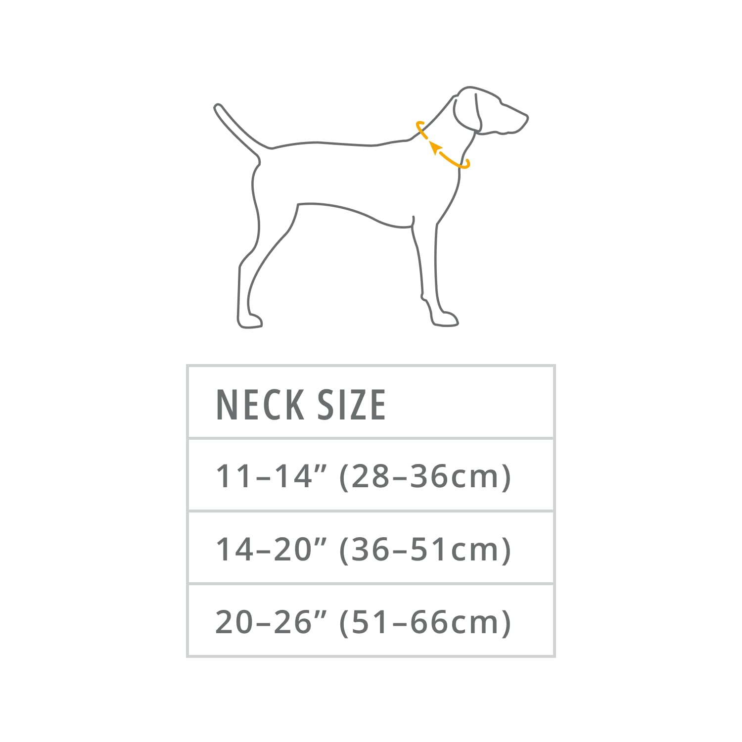 Ruffwear, Front Range Dog Collar, Durable and Comfortable Collar for Everyday Use, River Rock Green, 14-20