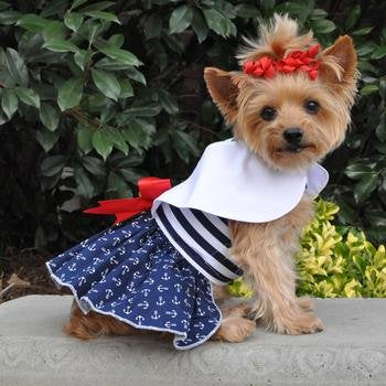 Doggie Design Nautica Dress W/Leash & D-Ring (Small)
