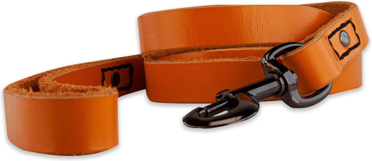 Brute Strength - Leather Dog Leash - 47Ft - Orange - Soft And Strong Full Grain Leather Leash For Large And Medium Dogs - Dog Tr