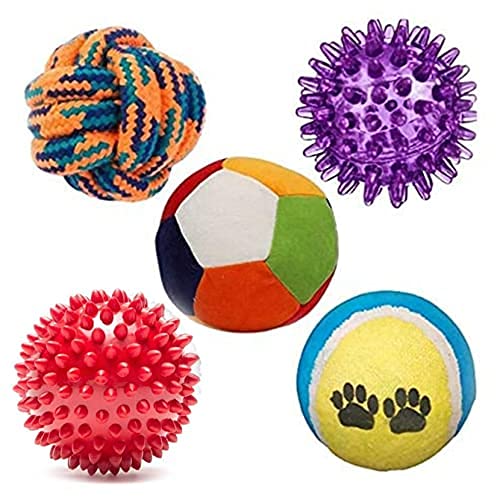 Rvpaws Puppy Ball 5 In 1 Combo  Rattle Ball | Tennis Ball | Squeaky Led Ball | Spike Red Hard Ball | Cotton Ball  For Small Do