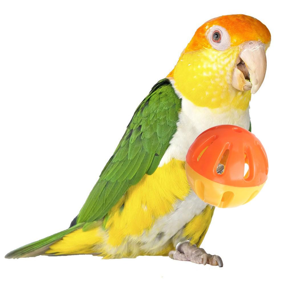 Super Bird Creations Sb1055 Birdie Balls Bird Foot Toy, Medium Bird Size, 2' Diameter (4 Pack)