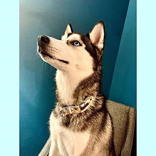 Elegant Little Tail Sunflower Girl Dog Collar For Female Dogs, Pet Collar Adjustable Dog Collars With Flower Gift For X-Large Dogs