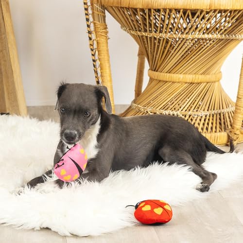 Fringe Studio Plush Dog Toy, Buggy For You, Small 3 Piece Set, Pet Shop Collection (662028)