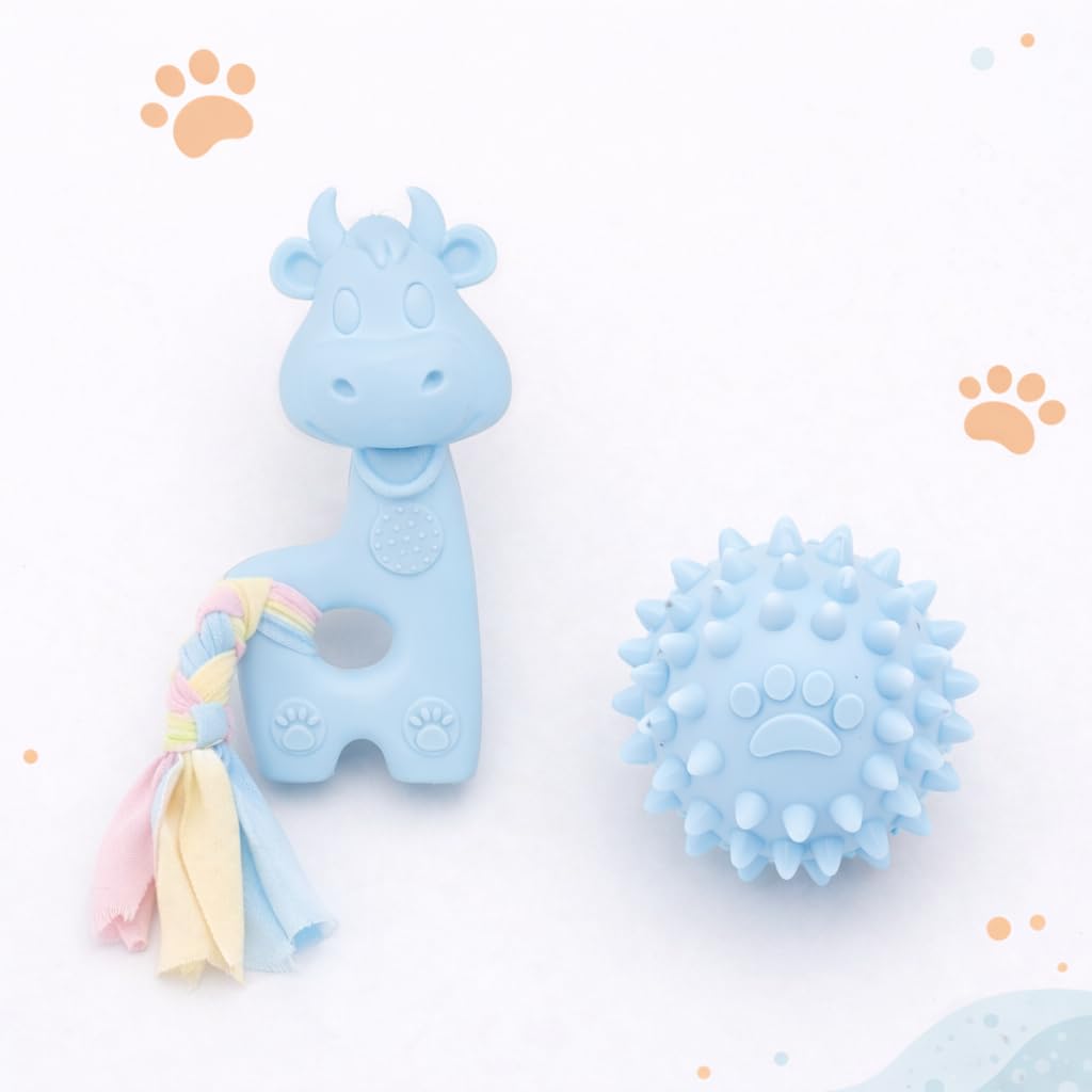 Dog Chew Toy With Spiky Ball, Tpr Material, NonToxic, For Teeth Cleaning And Interactive Play, Small Breed (Pack Of 2)