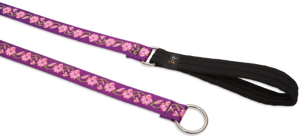 LupinePet Originals 1'' Rose Garden 6-Foot Slip Lead/Leash for Medium and Larger Dogs