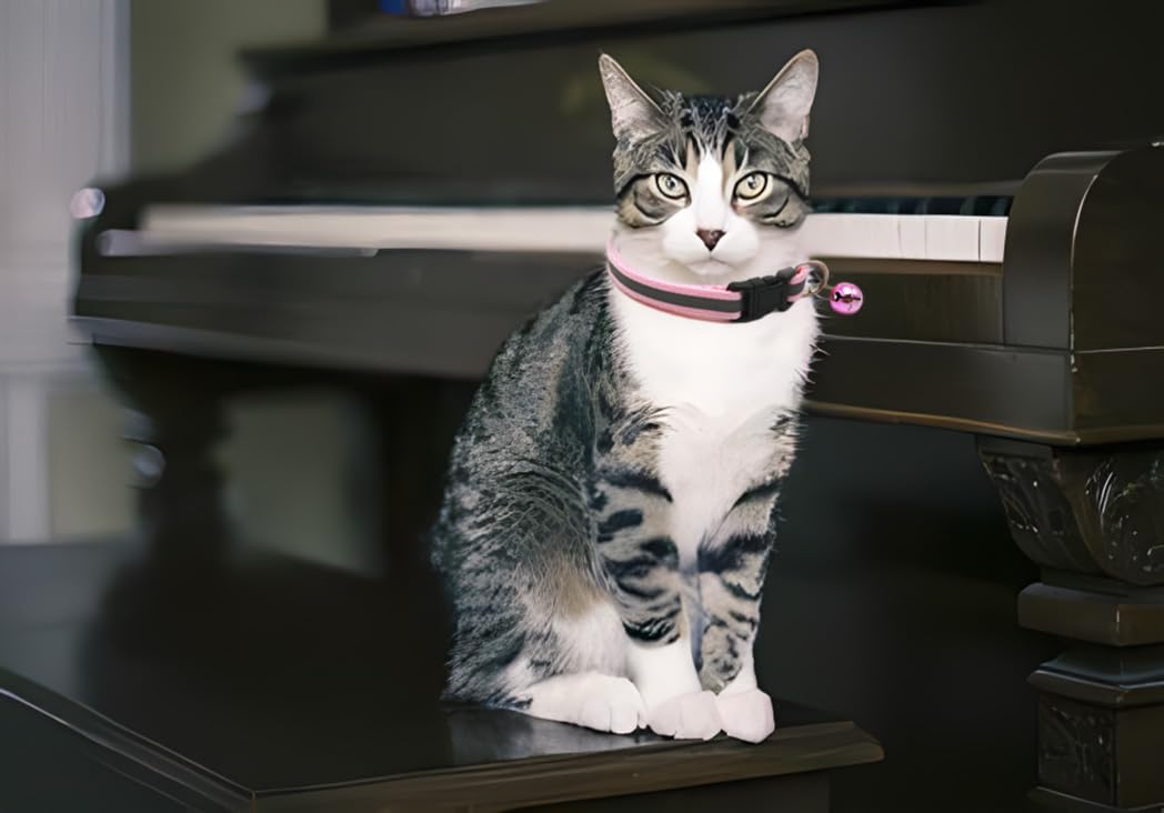 Light Blue Xs Dog Collar With Bell, Reflective Cat Collars Girl Soft Adjustable Buckle For Xxs Xsmall Extra Small Puppy Female M