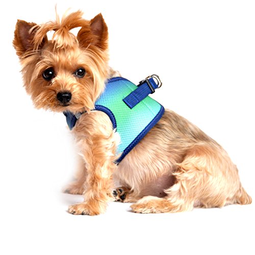 Doggie Design No Choke Dog Harness - Simple Step-In And Go Dog Vest For Small, Medium, And Large Breeds - Breathable Mesh Polyester Pet Harness - Northern Lights - S