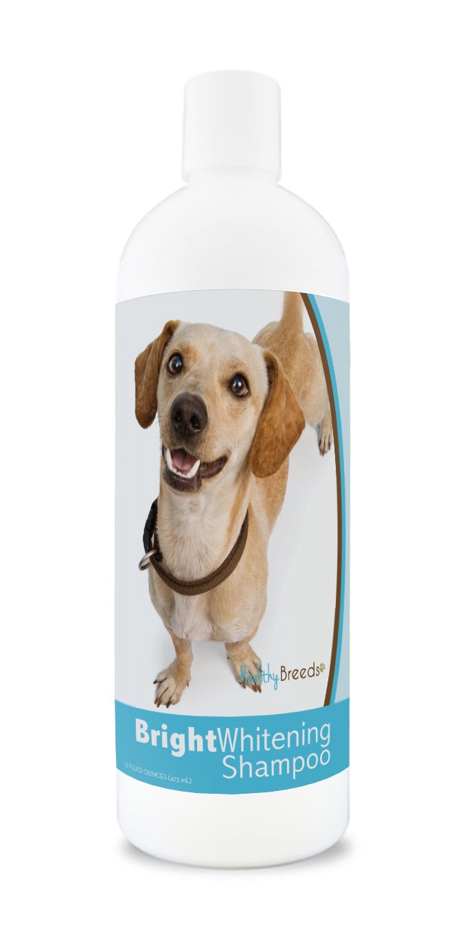 Healthy Breeds Chiweenie Bright Whitening Shampoo 12 oz