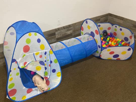 Piggy Poo And Crew Interactive Pet Tunnel And Ball Pit | Fun Pet Playhouse | Includes 50 Balls | Collapsible Design | Indoor/Out