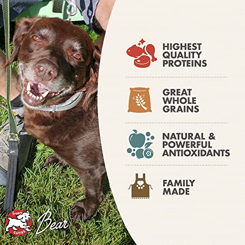 Fromm Classics Adult Dry Dog Food, 5 lb.