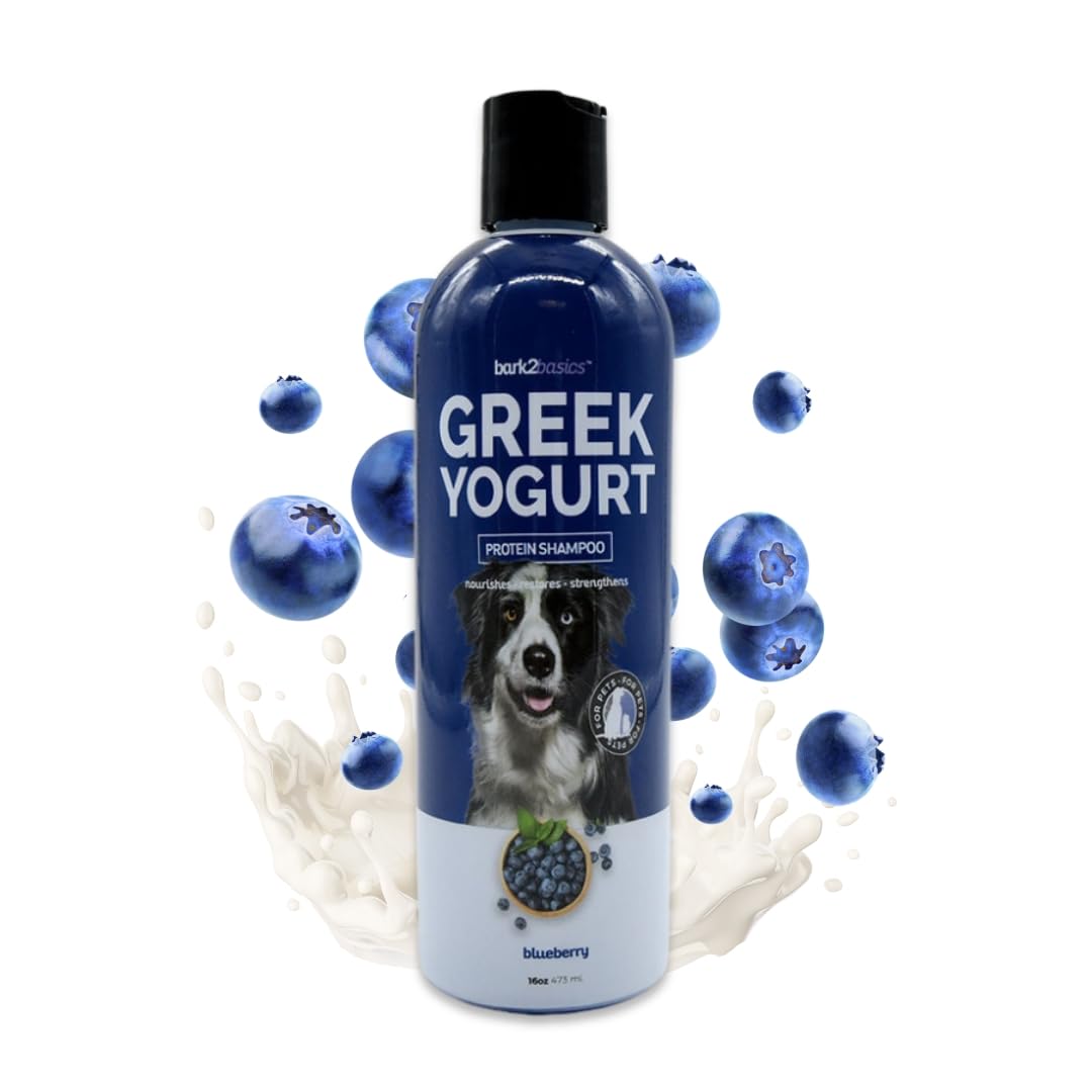 Bark2Basics Blueberry Greek Yogurt Shampoo, 16 oz - Protein Pet Shampoo, Natural Ingredients, Restores Moisture to Dry Coats, So