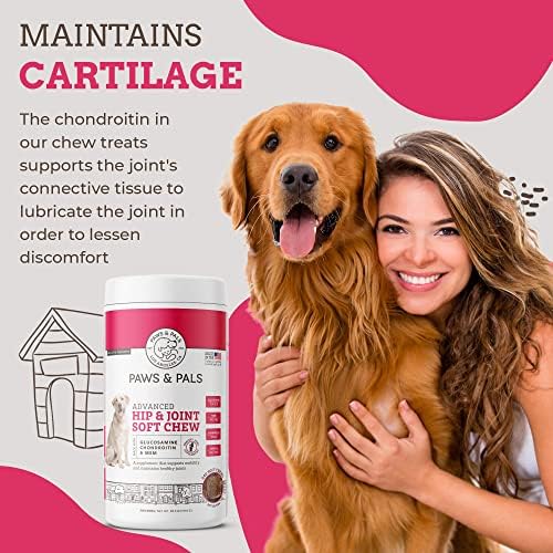 Paws & Pals Glucosamine Chondroitin MSM Soft Chews for Dogs, 240 Count - Maximum Strength Hip & Joint Supplement, Brown