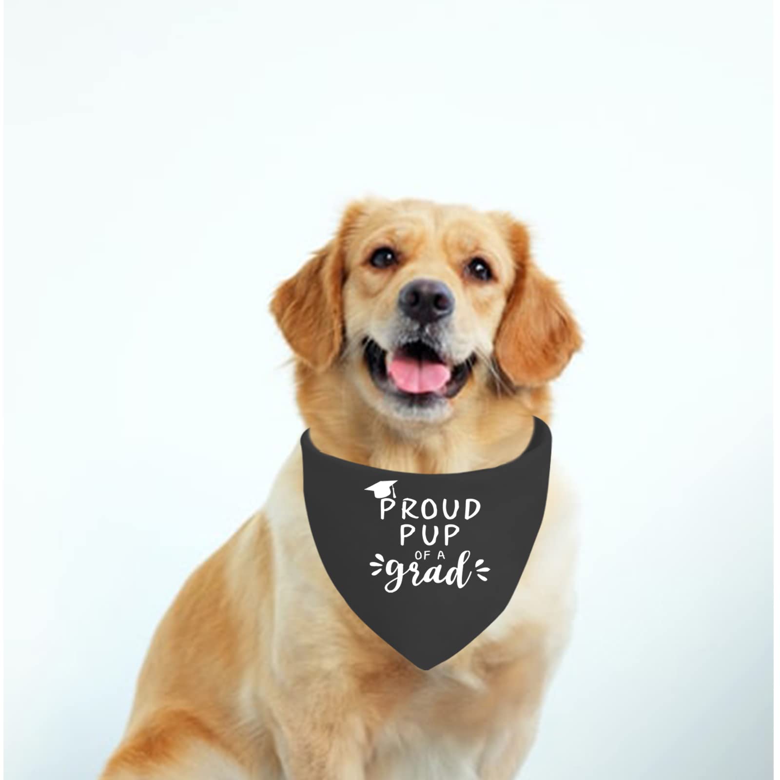 Jxgzso 1 Piece Graduation Dog Pet Bandana Proud Pup Of A Grad Dog Bandana Graduation Announcement Gift (Proud Pup Black)