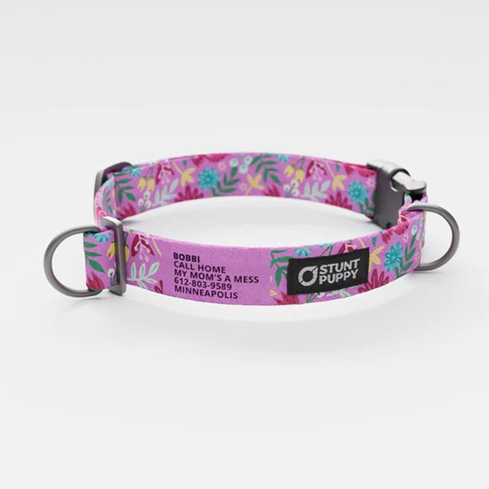 Frolic Summer Everyday Collar, Medium