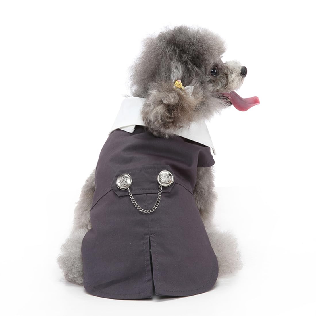 Doteyayp Puppy Tuxedo With Detachable Bowtie Prom Wedding Formal Wear Prince Costume For Small Dog (Small, Grey)
