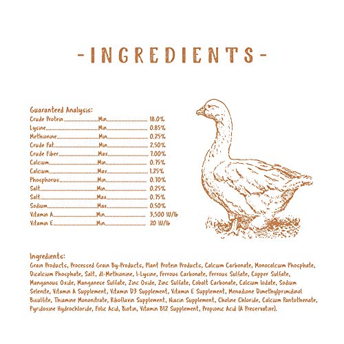 Manna Pro Non-Medicated Starter Crumble Feed for Chicks & Ducklings|Formulated with Vitamins & Minerals|5 Pounds