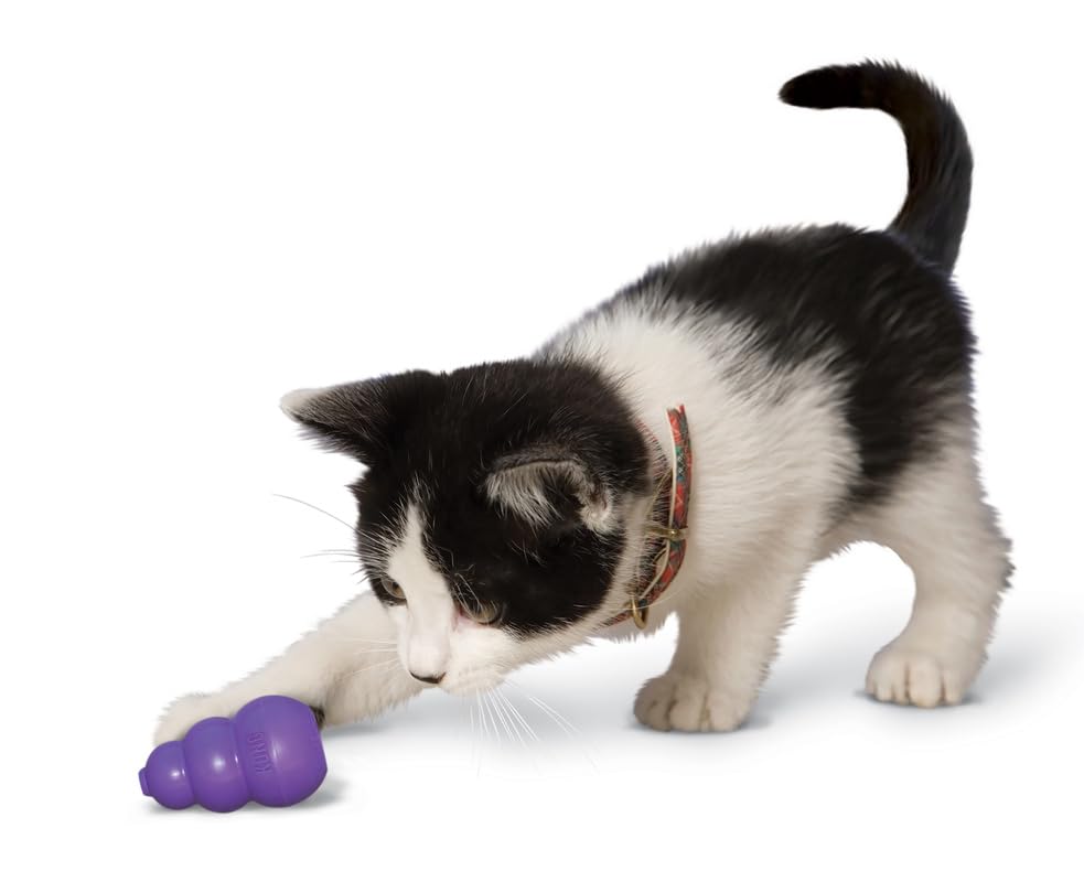 KONG Kitty Classic Cat Toys - 2 Pack - Fillable Treat-Dispensing Toy for Cats - Bounces & Rolls for Interactive Play - Encourage