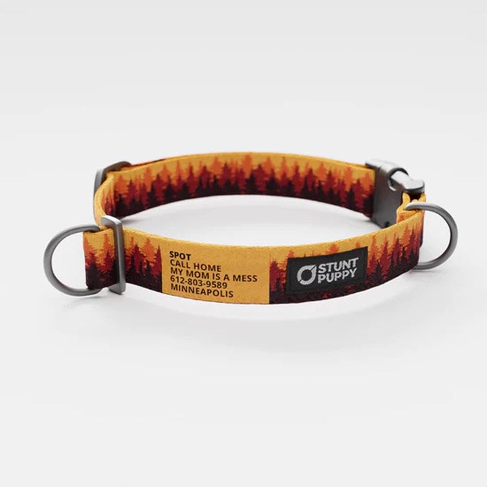 Pines Orange Everyday Collar, Small