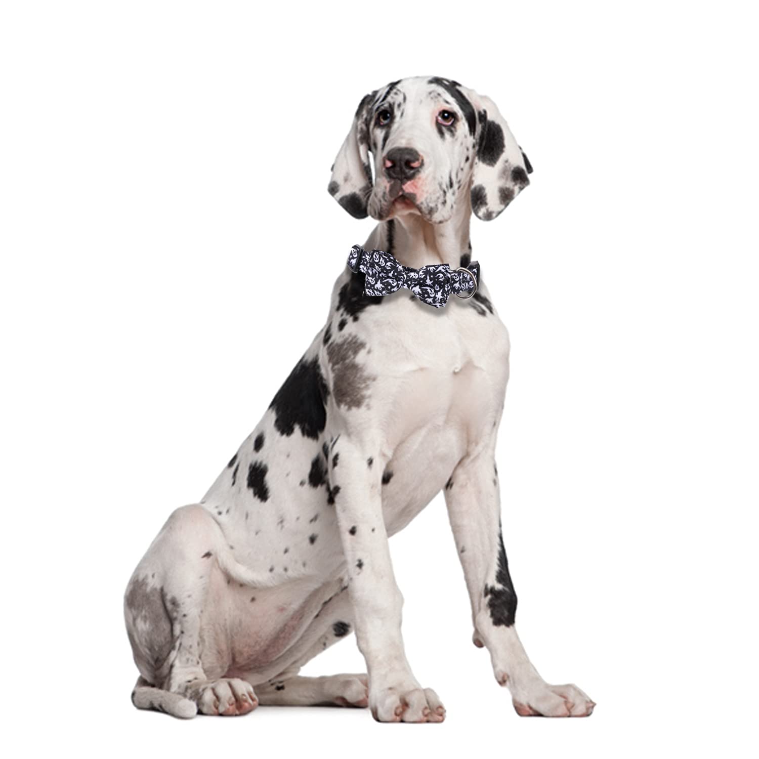 Halloween Dog Collar With Removable Cute Bow Tie Adjustable Pet Collars Large