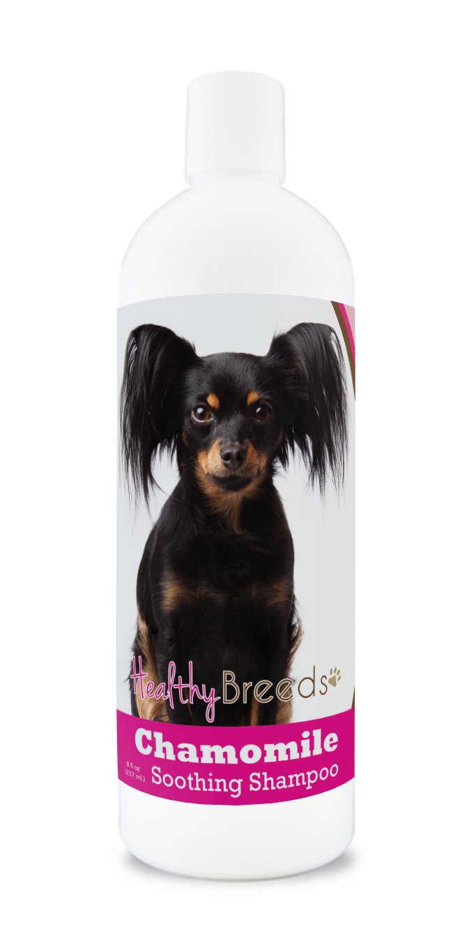 Healthy Breeds Russian Toy Terrier Chamomile Soothing Dog Shampoo 8 oz