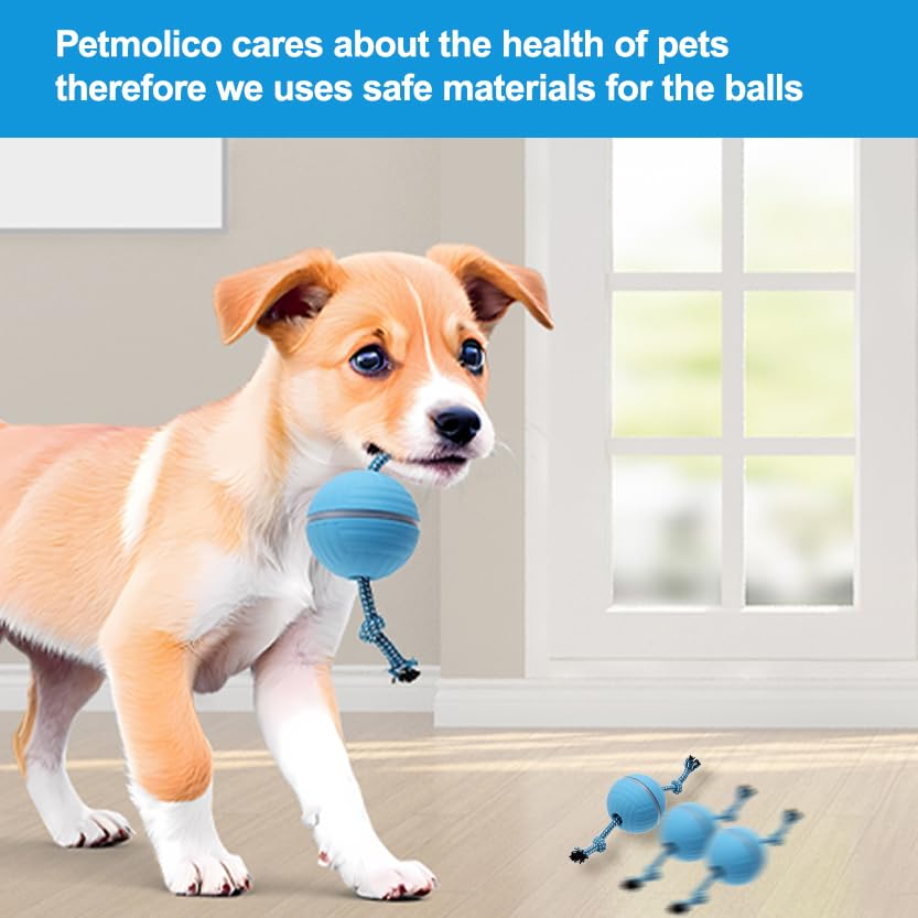 Petmolico Electric Dog Balls - Motion Activate Rolling Ball Toys For Puppy - Interactive Dog Toys For Boredom(Blue,Remote Contro