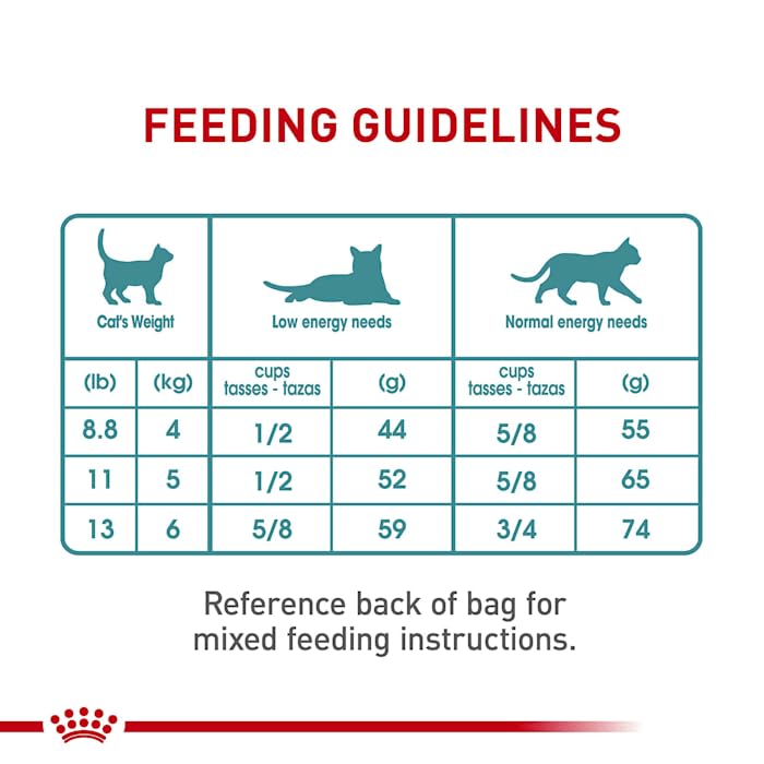 Royal Canin Feline Care Nutrition Hairball Care Adult Dry Cat Food, 3 lb Bag